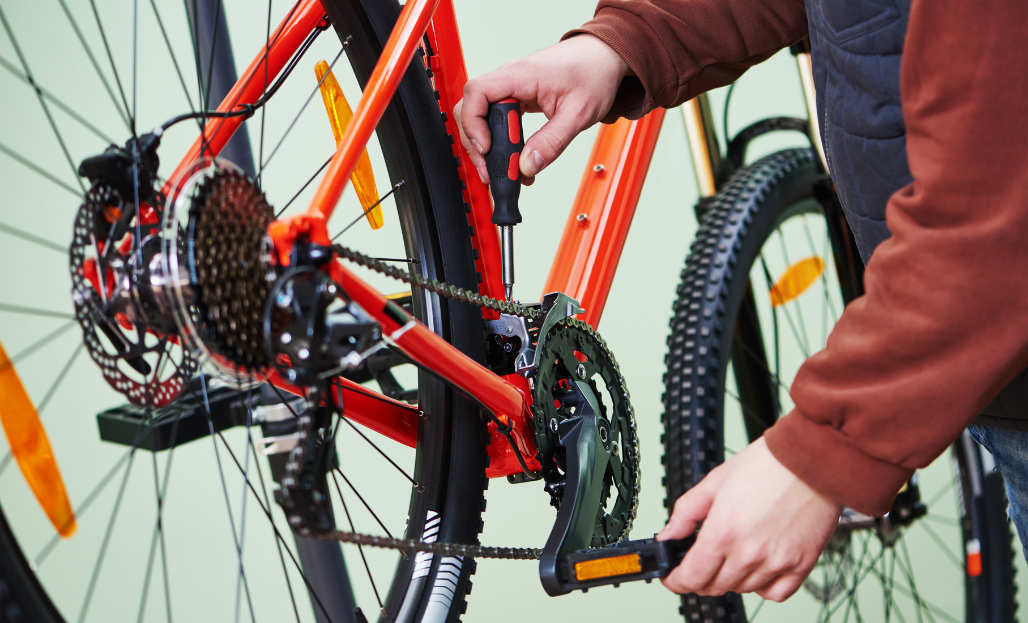 bike chainrings and bolts